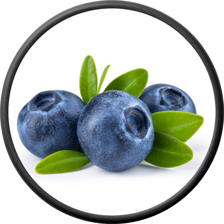 Fresh Blueberry